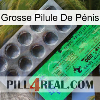 Grosse Pilule De Pénis new04